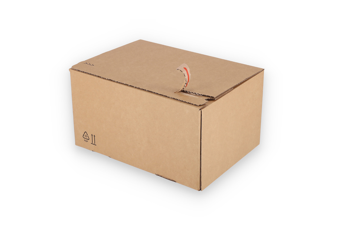 ASD/40: 310 x 230 x 160 mm. Shipping box with auto-lock bottom and adhesive closure strip. 4