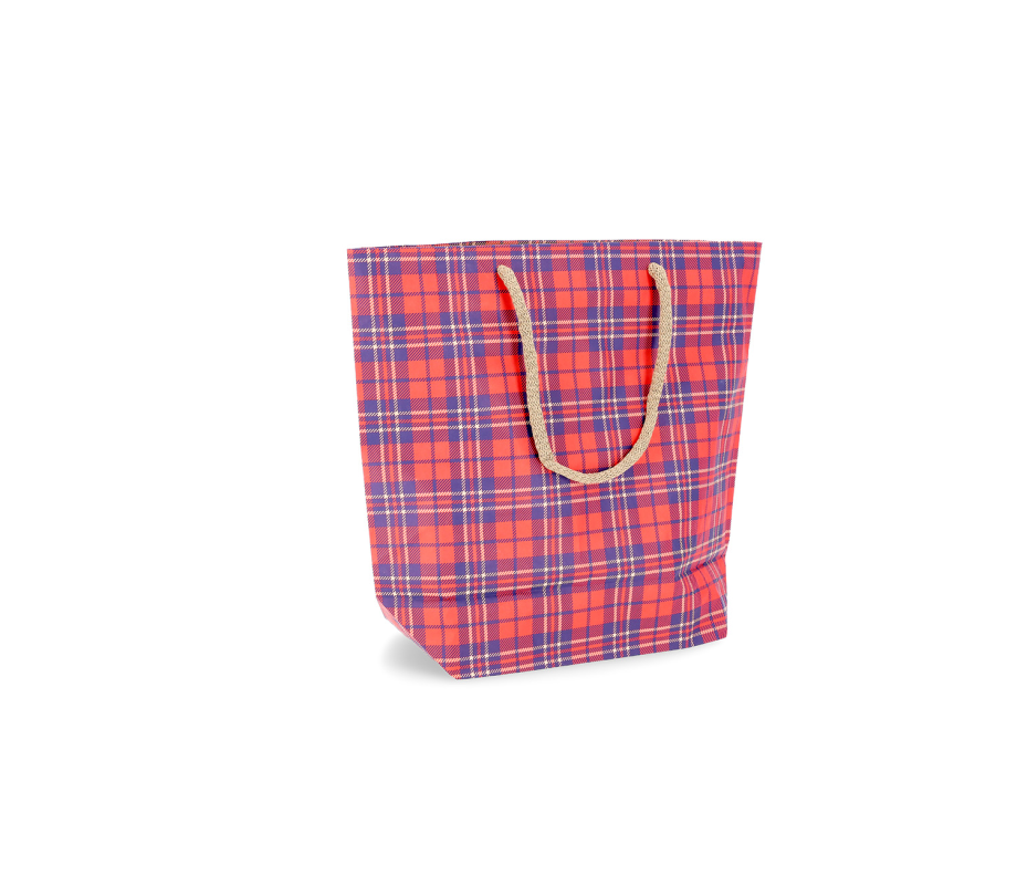 CUBA-2: 450 x 150 x 400 mm paper bag with fabric handles 21