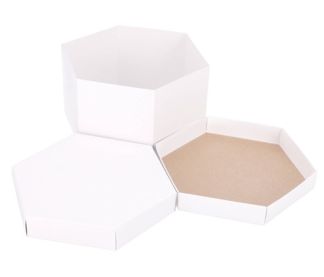 DT-S: 245 x 245 x 150 mm. hexagonal cake box 1