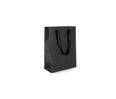 LUX-1: 220 x 100 x 300 mm Luxury paper bag with satin handles 3