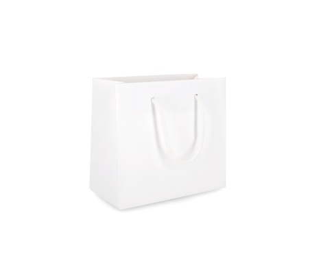 PREM-4: 450 x 150 x 400 mm paper bag with fabric handles 2