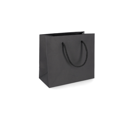 PREM-4: 450 x 150 x 400 mm paper bag with fabric handles 3