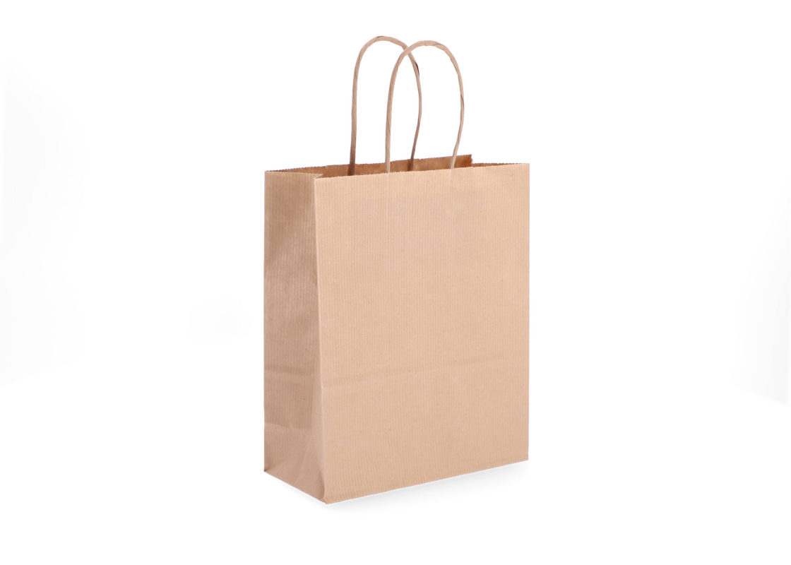 TW-2: 180 x 80 x 220 mm paper bag with twist paper handles 1