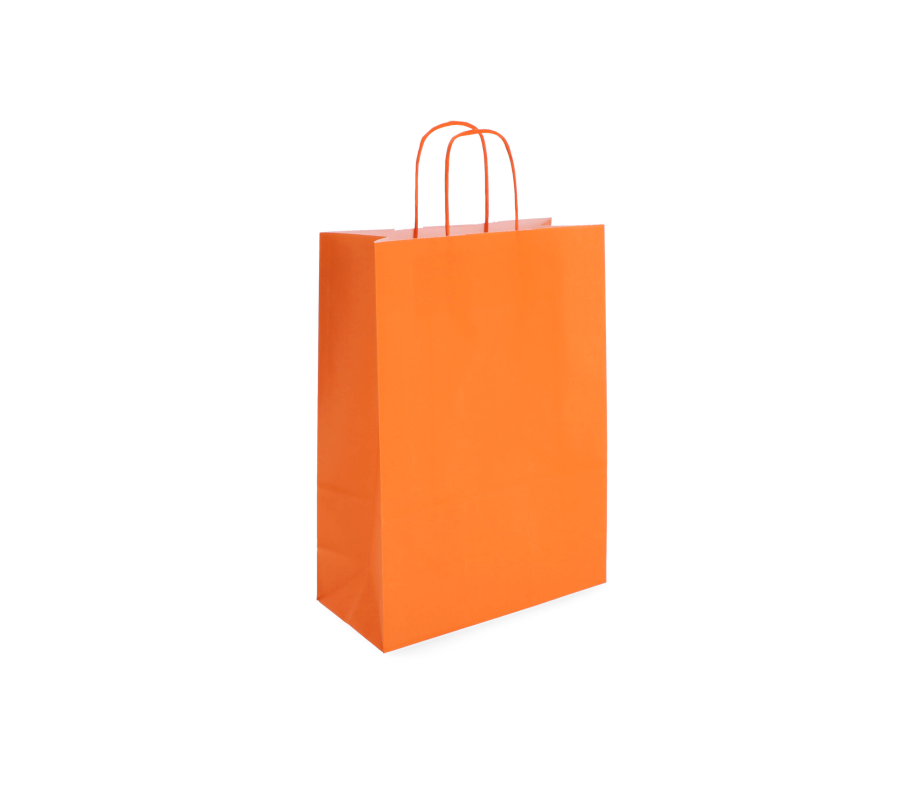 TW-3: 220 x 100 x 310 mm paper bag with twist paper handles 15