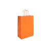 TW-3: 220 x 100 x 310 mm paper bag with twist paper handles 17