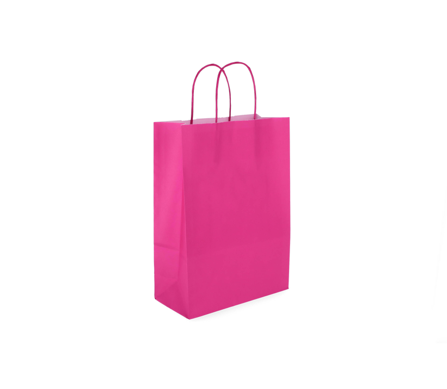 TW-3: 220 x 100 x 310 mm paper bag with twist paper handles 21
