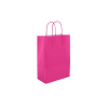 TW-3: 220 x 100 x 310 mm paper bag with twist paper handles 23