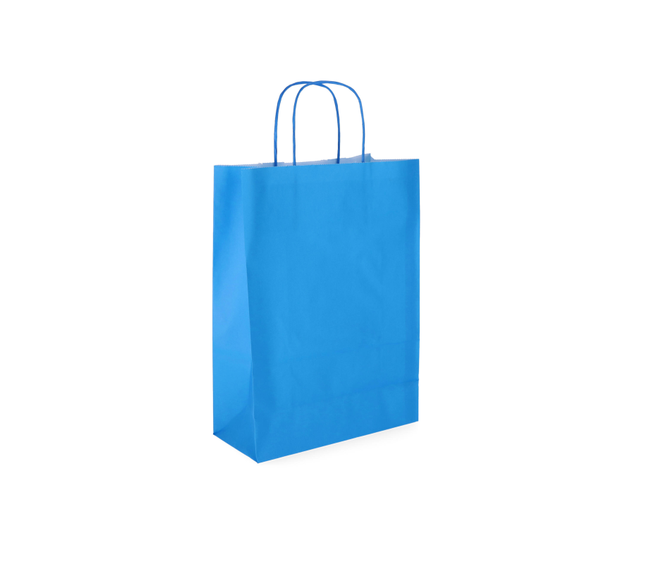 TW-3: 220 x 100 x 310 mm paper bag with twist paper handles 12