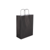 TW-3: 220 x 100 x 310 mm paper bag with twist paper handles 11