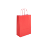 TW-3: 220 x 100 x 310 mm paper bag with twist paper handles 20