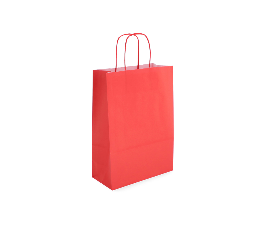 TW-3: 220 x 100 x 310 mm paper bag with twist paper handles 18