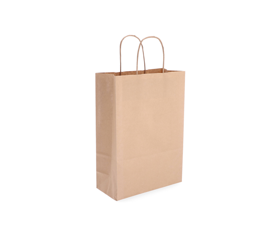 TW-3: 220 x 100 x 310 mm paper bag with twist paper handles 24