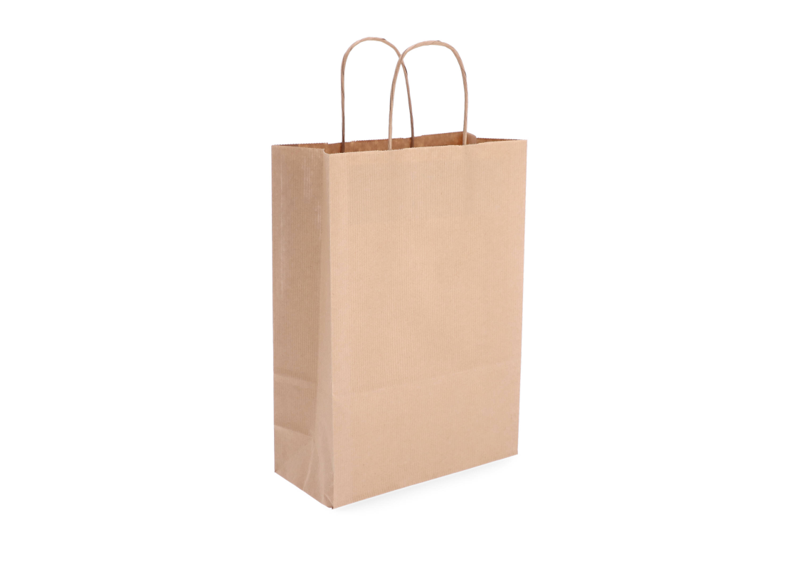 TW-3: 220 x 100 x 310 mm paper bag with twist paper handles 1