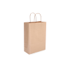 TW-3: 220 x 100 x 310 mm paper bag with twist paper handles 2